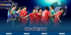Bóng Đá Việt Nam