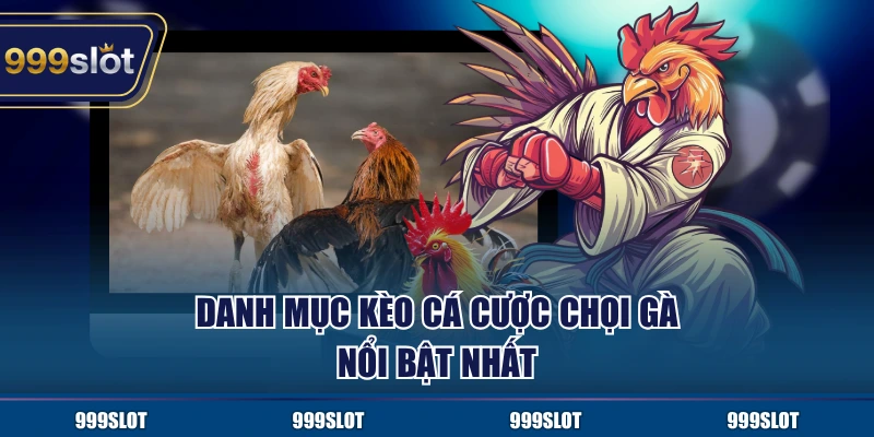 Tổng hợp danh mục kèo được yêu thích nhất