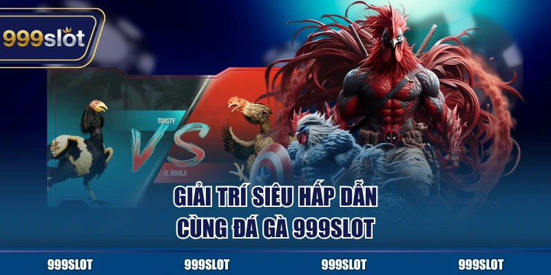 Cá cược đá gà 999Slot truyền thống có sức hút cực lớn