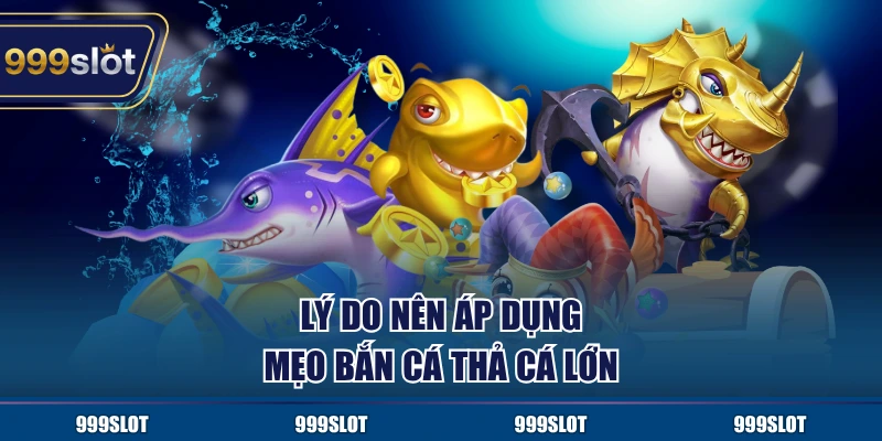 Lý do nên áp dụng mẹo bắn cá thả cá lớn