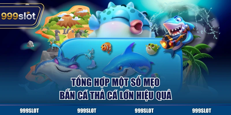 Tổng hợp một số mẹo bắn cá thả cá lớn hiệu quả
